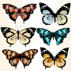 Obraz na płótnie Canvas Collection of vector colorful butterflies for design