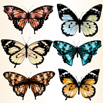 Collection of vector colorful butterflies for design