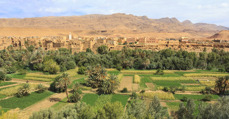 Naklejka premium Morocco, village&oasis in valley of the river Todra