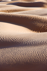 Paysage de dunes, Grand erg oriental, Tunisie