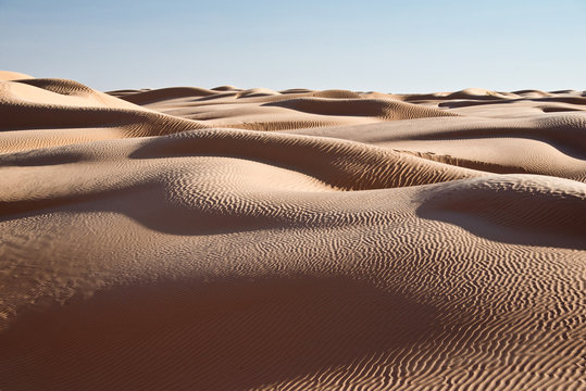 Paysage de dunes, Grand erg oriental, Tunisie