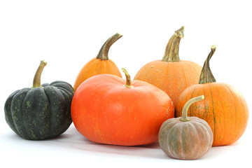 Pumpkins varieties