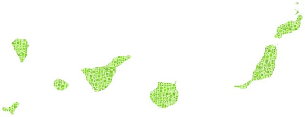 The Canary Islands in a mosaic of green squares