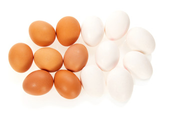White and brown eggs