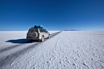 Bolivia - Salar Uyuni - 58634310