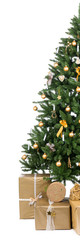 Fototapeta na wymiar halber weihnachtsbaum mit vielen geschenken