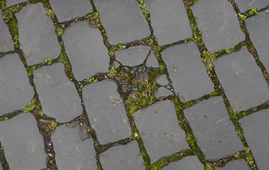 Kopfsteinpflasterstruktur