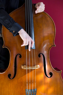 Doublebass player