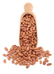 Pinto Beans