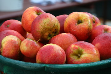 Apples