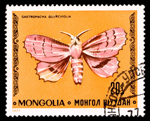 Mongolia stamp printed in 1977, butterfly