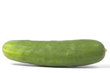 Fresh Cucumber
