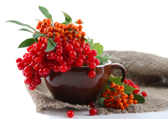 Red  and orange berries in mug,