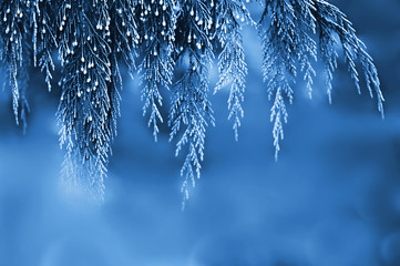 Christmas background