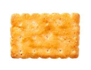biscuit