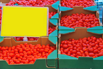 Sale of tomato on the Dutch market