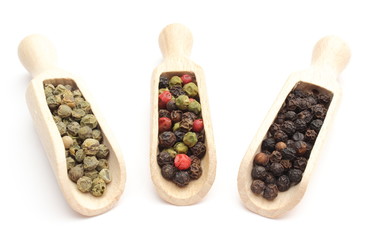 Black, green and colored pepper on wooden spoons