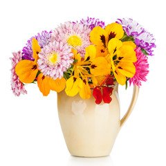 bouquet of aster flowers in  pot isolated 