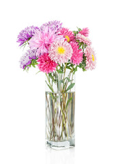 Asters bouquet. Beautiful flowers in vase isolated on white