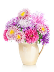 bouquet of aster flowers in  pot 