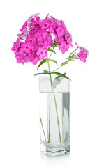 Obraz premium Bouquet of pink carnations in vase