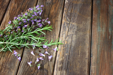 fresh rosemary and sage on wooden table.