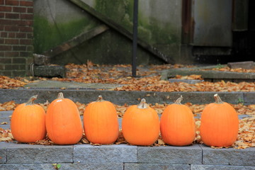 Six pumpkins set together on stone steps of home