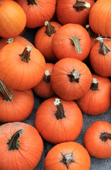 Big orange pumpkins gathered on ground