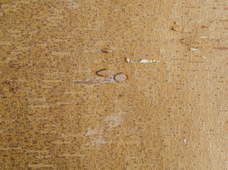 upper birch bark with streaks