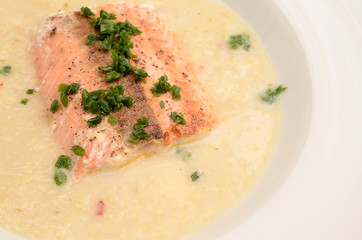 Wirsingcremesuppe mit gebratenem Wildlachs