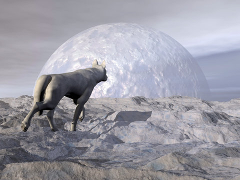 Wolf in winter - 3D render