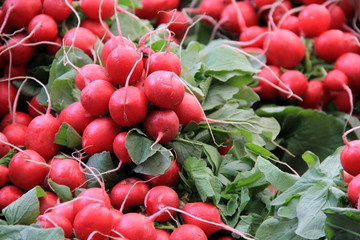 Bunches of radishes at local market