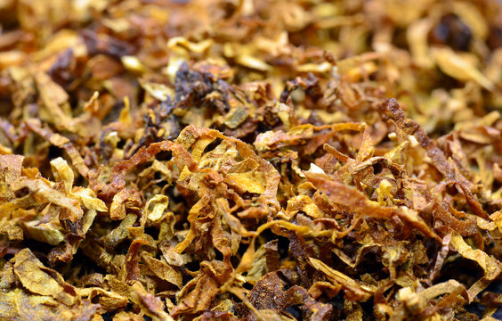 Tabacco / Tabak