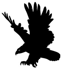 eagle