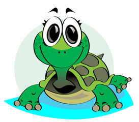 tortue