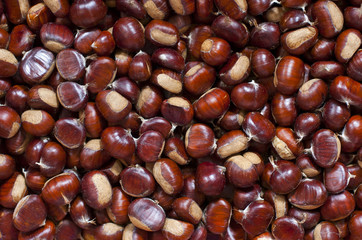 Castañas, fondo otoño