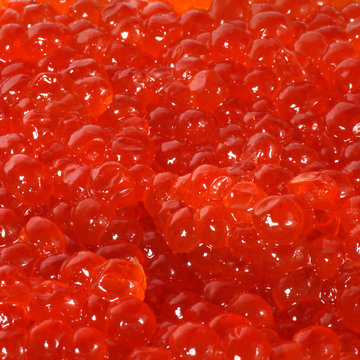 Fresh red caviar