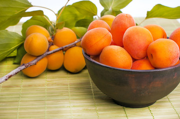 apricots with green leaf isolated