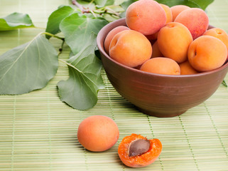 apricots with green leaf isolated