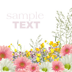 Beauty mix flowers frame isolated white background