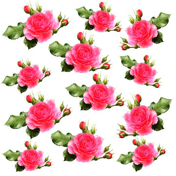 Seamless pattern with watercolor rose