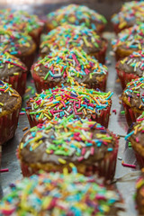 Fototapeta na wymiar Line of cupcakes with sprinkles