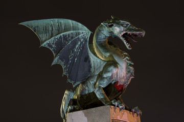 Obraz premium Green dragon at night