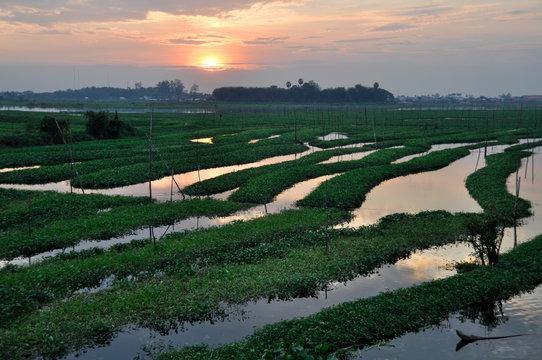 Sunset at Boeung Kak lake, Phnom Penh (Cambodia)