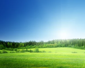 Behangcirkel field of grass and perfect sky © Iakov Kalinin