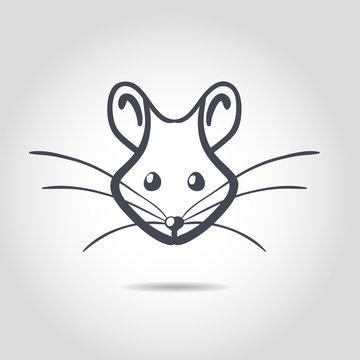 Vector image of an rat on a white background
