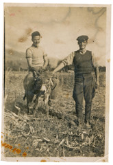 CIRCA 1940: Two young farmers posing on a cornfield