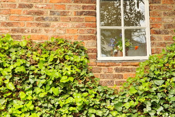 Cooks' Cottage in Melbourne botanic garden