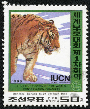 stamp printed in DPR Korea shows tiger