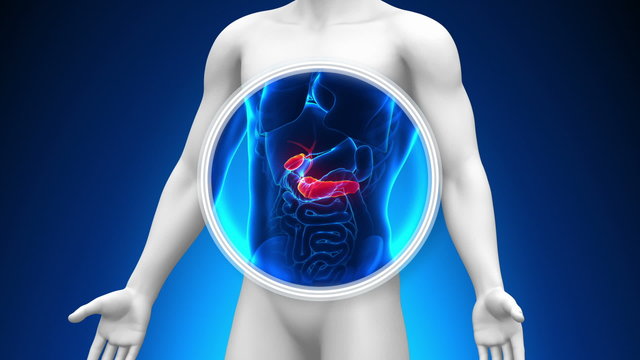 Medical X-Ray Scan - Gallbladder